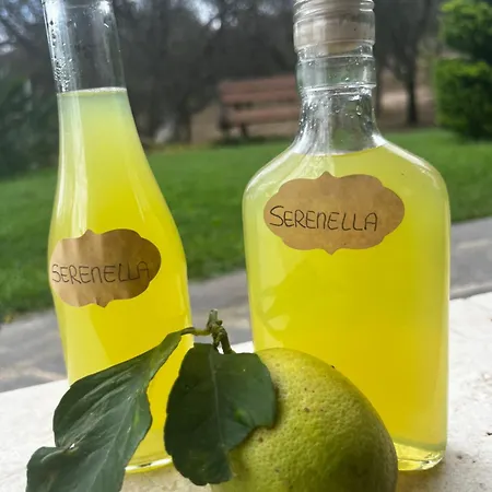 Serenella Prázdninový dům *