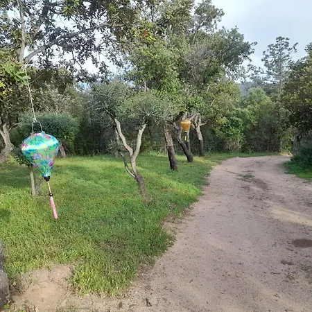 Serenella Prázdninový dům Olbia