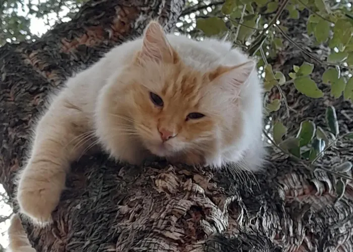 Serenella Сasa de vacaciones