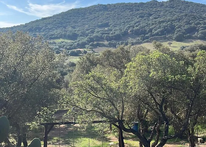 Serenella Dom wakacyjny Olbia