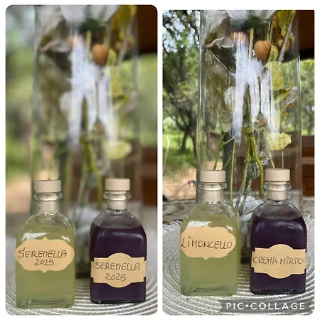 Serenella *