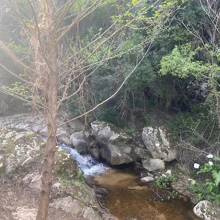 Serenella Ольбия